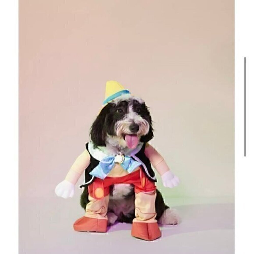 🆕 Pinocchio Dog Halloween Costume Size Small